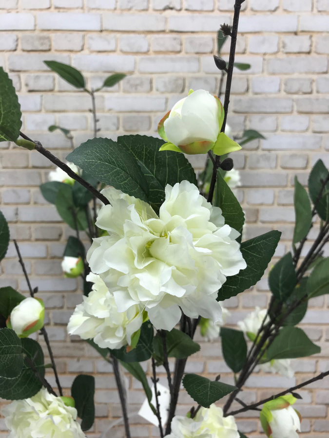 Пион K3679  Интернет-магазин Feron Flower 
