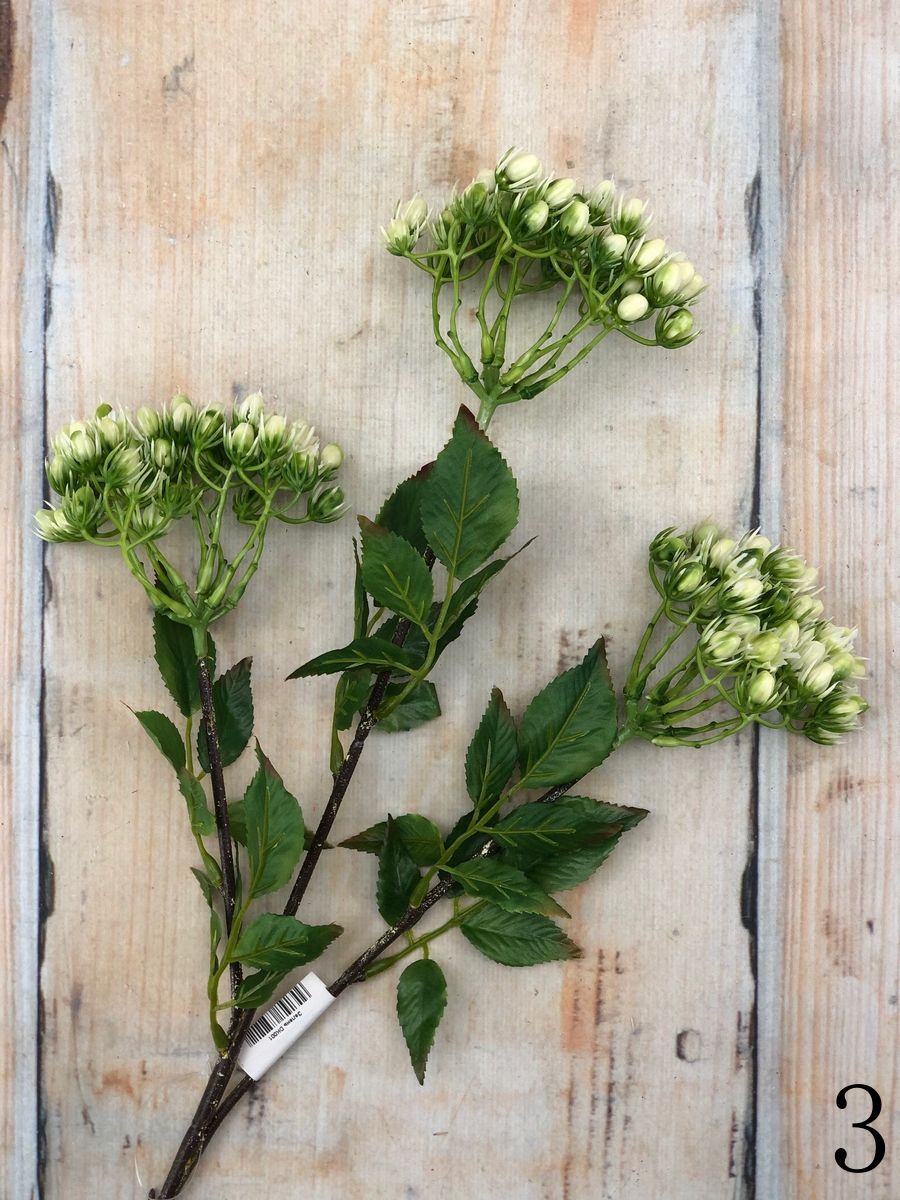 Зелень DK001  Интернет-магазин Feron Flower 