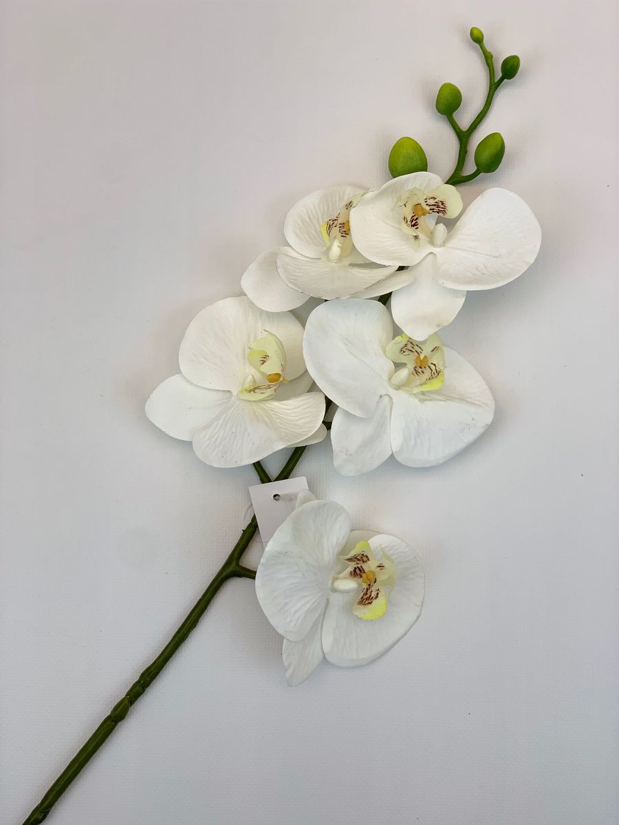 Орхидея MST1603  Интернет-магазин Feron Flower 
