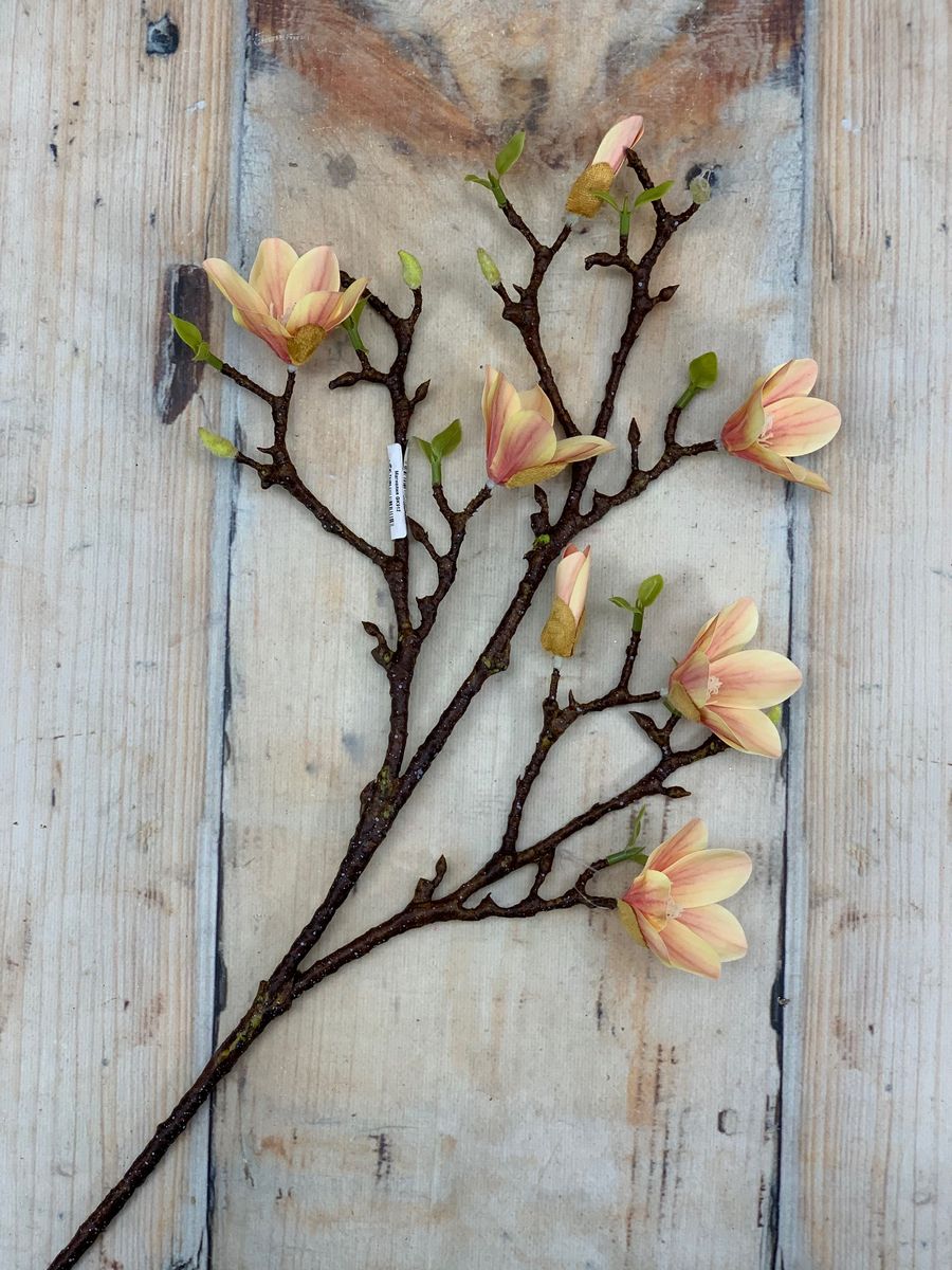 Магнолия GK912  Интернет-магазин Feron Flower 