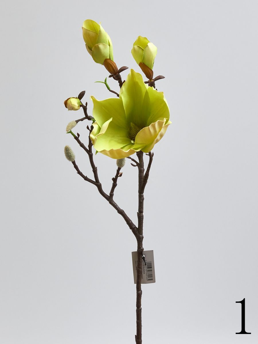 Магнолия SUN404  Интернет-магазин Feron Flower 