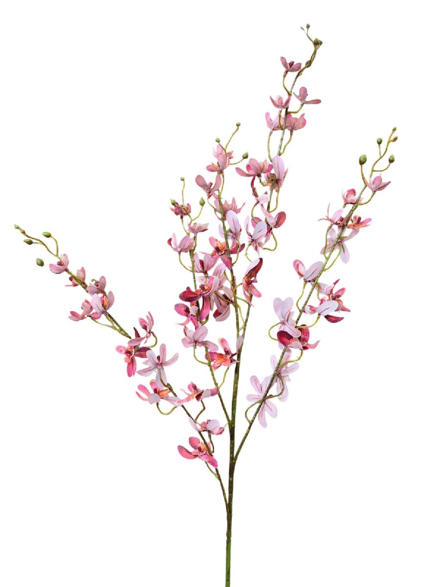 Орхидея  9144-1340  Интернет-магазин Feron Flower 