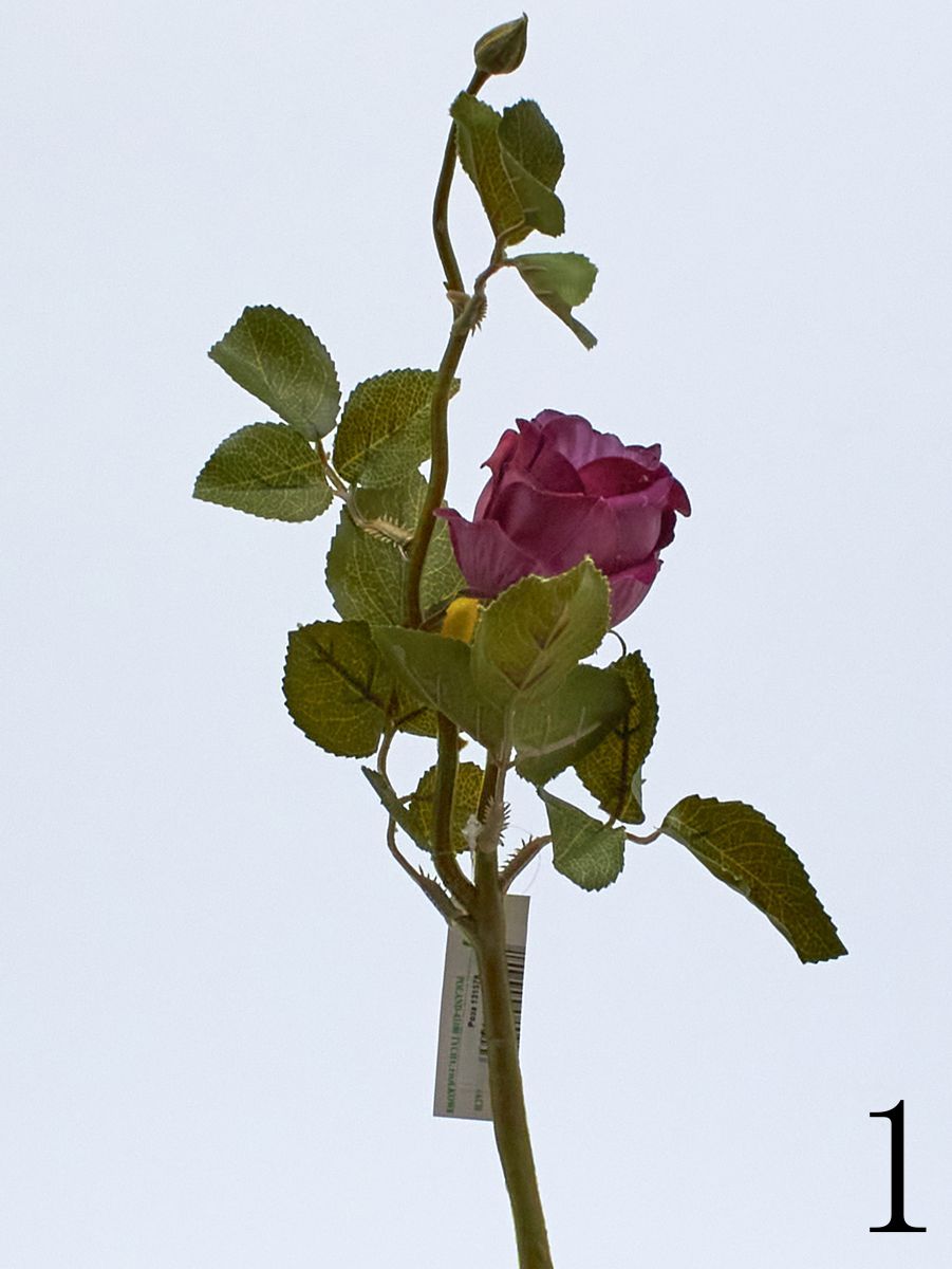 Роза 131578  Интернет-магазин Feron Flower 