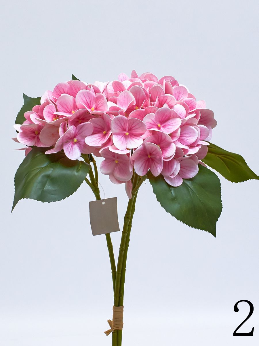 Гортензия K03980  Интернет-магазин Feron Flower 