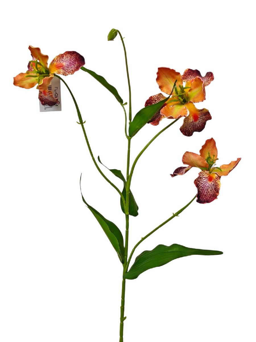 Ирис FL-QH164  Интернет-магазин Feron Flower 