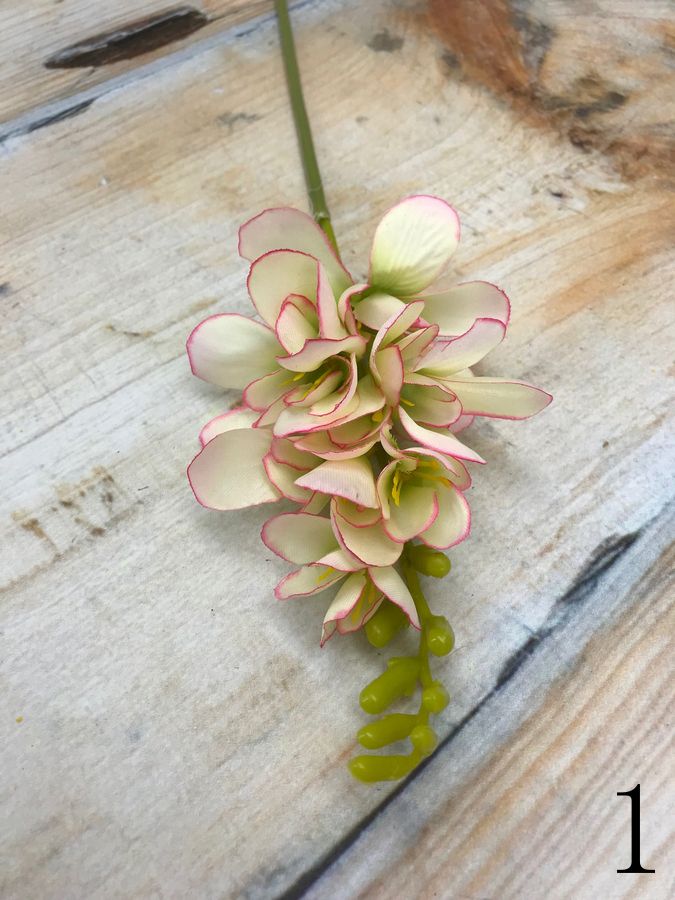 Фрезия JM014  Интернет-магазин Feron Flower 