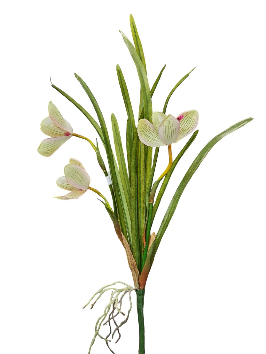 Орхидея 6186  Интернет-магазин Feron Flower 