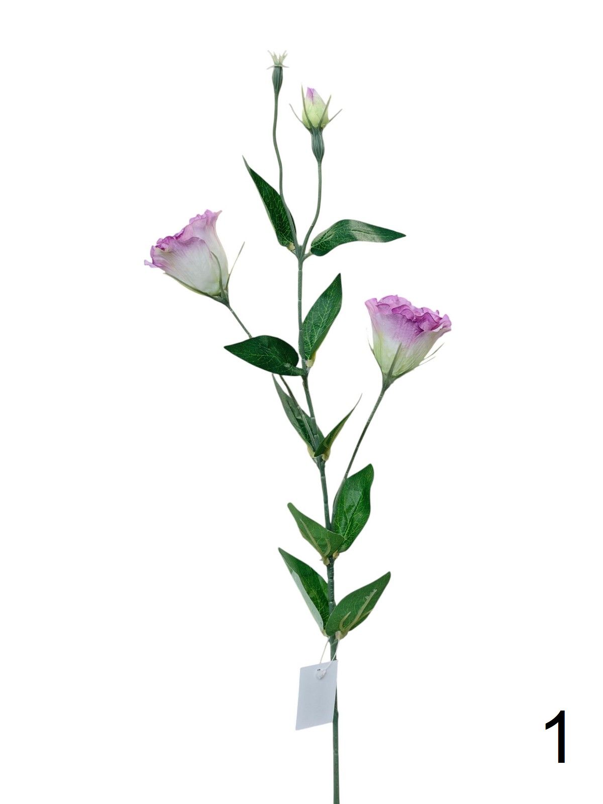 Эустома FL-QH166  Интернет-магазин Feron Flower 