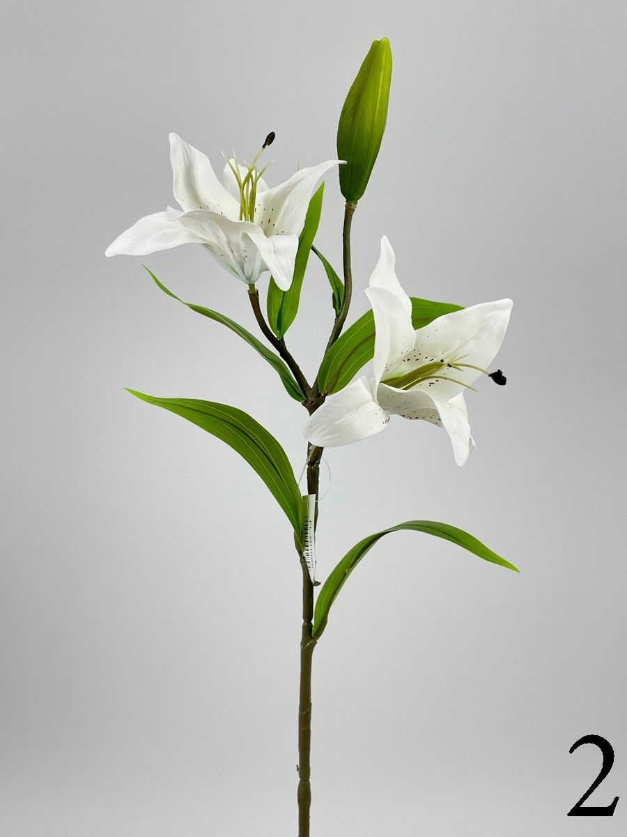 Лилия FL-QH006  Интернет-магазин Feron Flower 