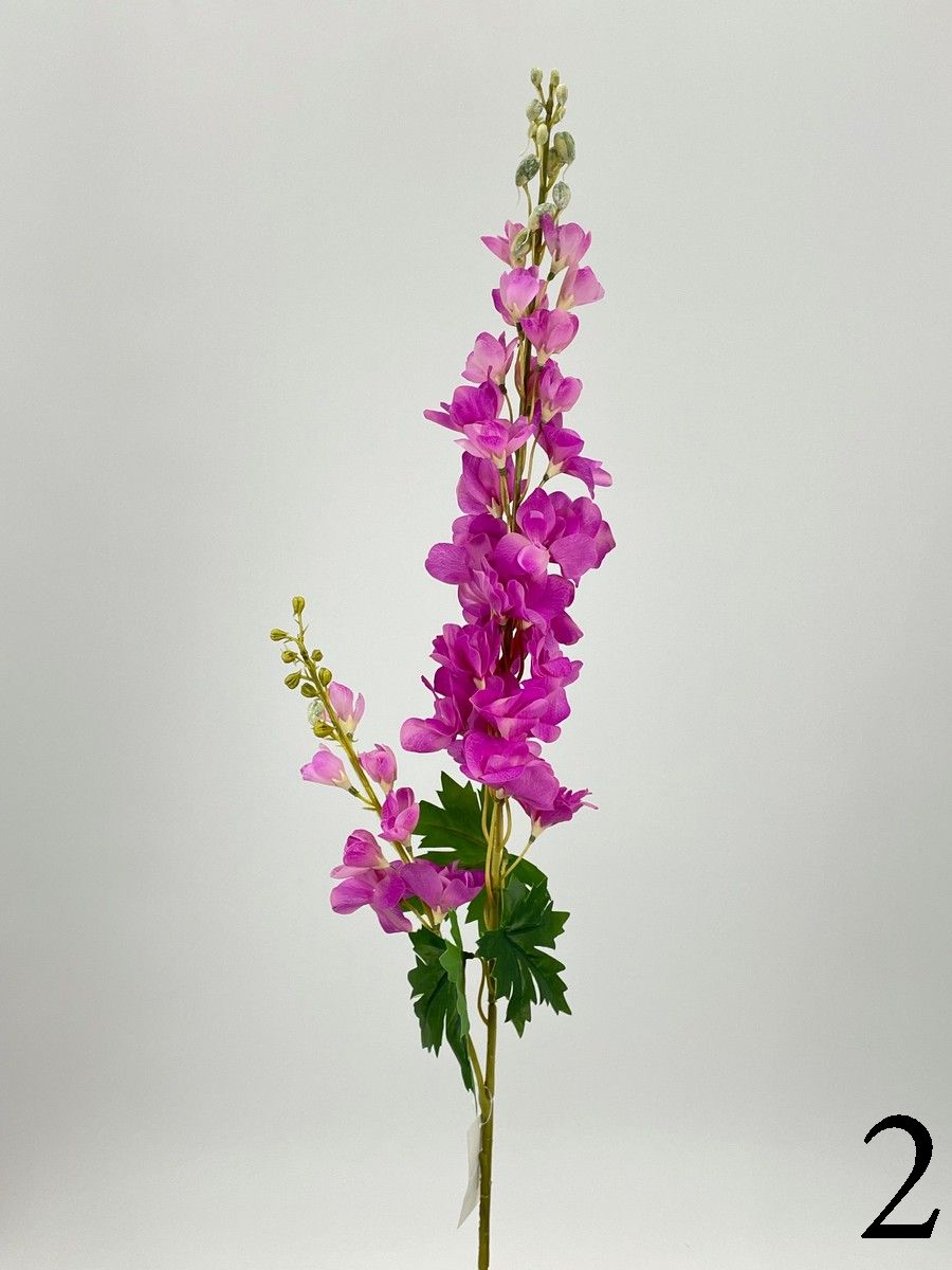 Дельфиниум PIO-123  Интернет-магазин Feron Flower 