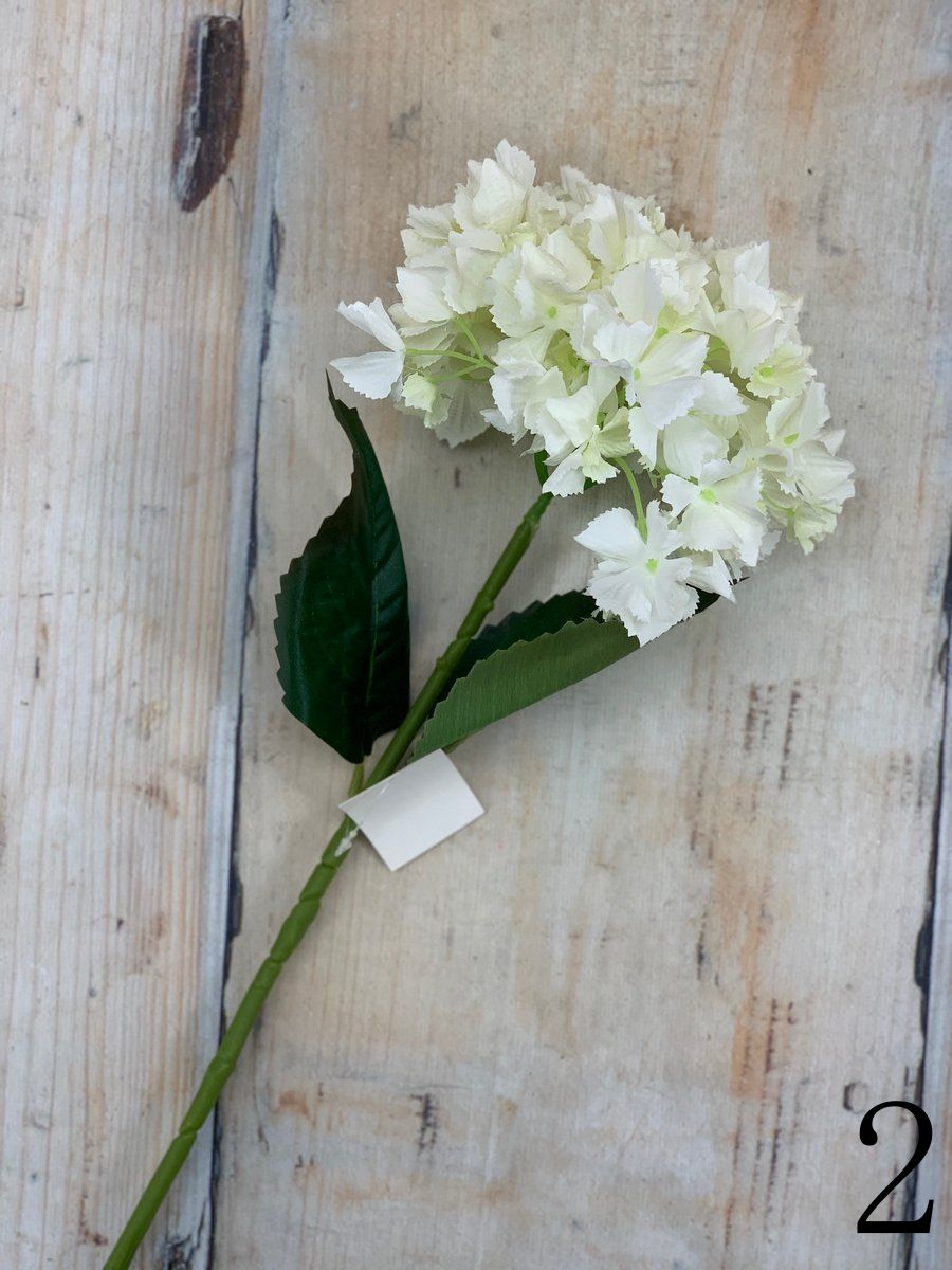 Гортензия K04077  Интернет-магазин Feron Flower 