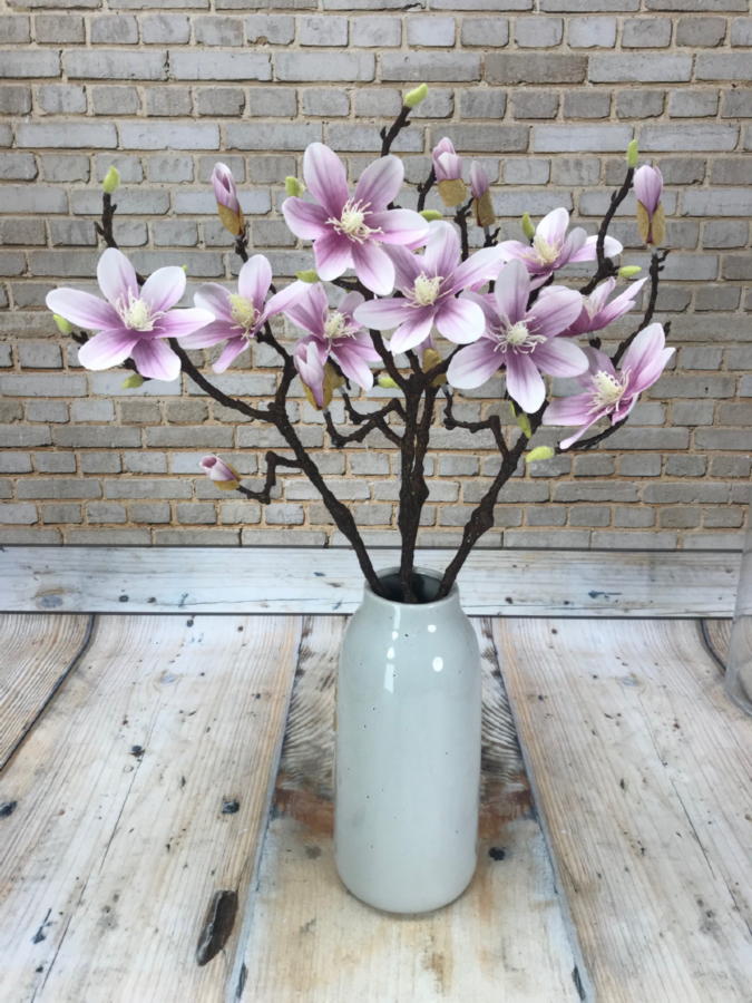 Магнолия GK914  Интернет-магазин Feron Flower 