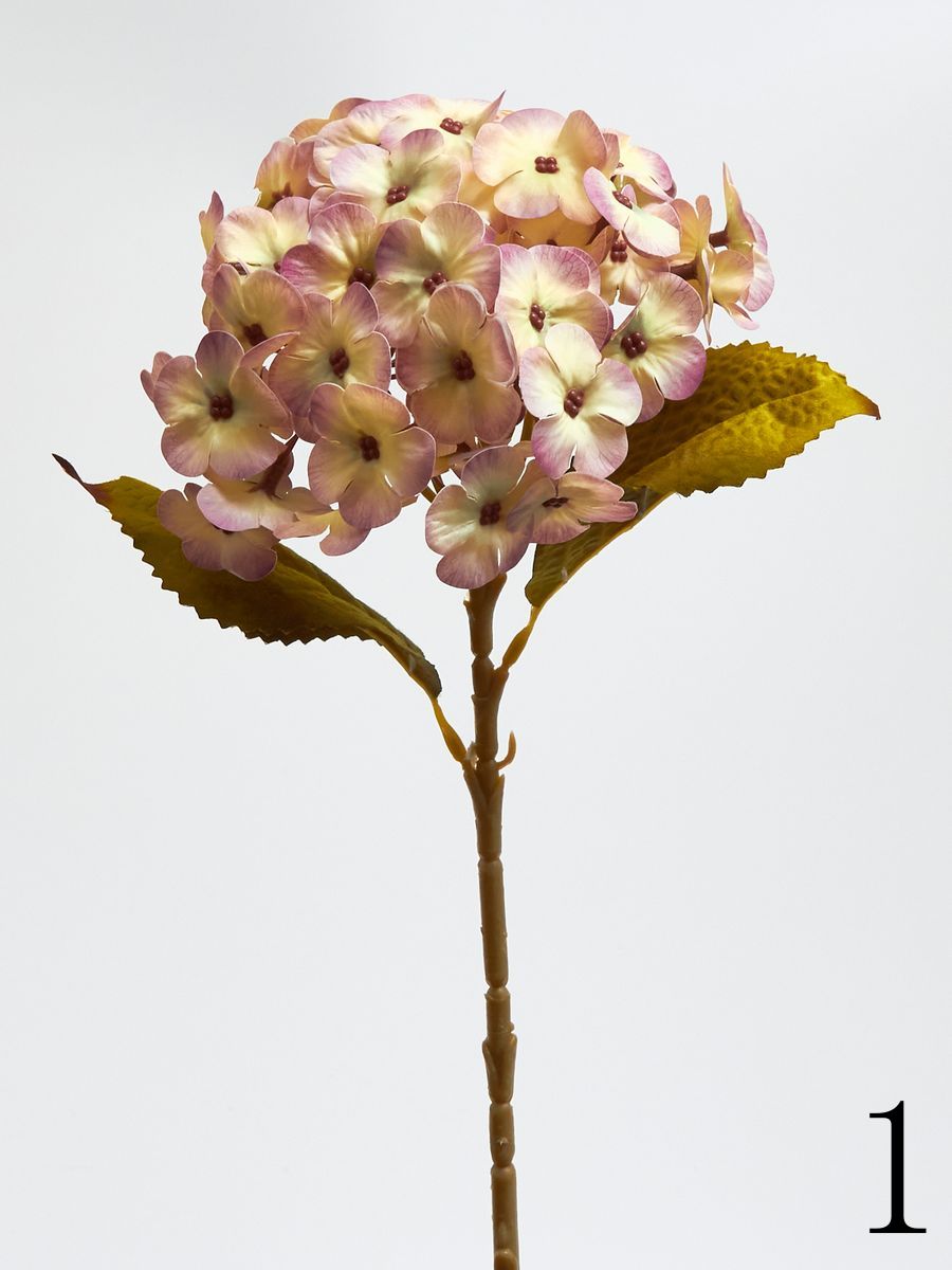 Гортензия K04234  Интернет-магазин Feron Flower 