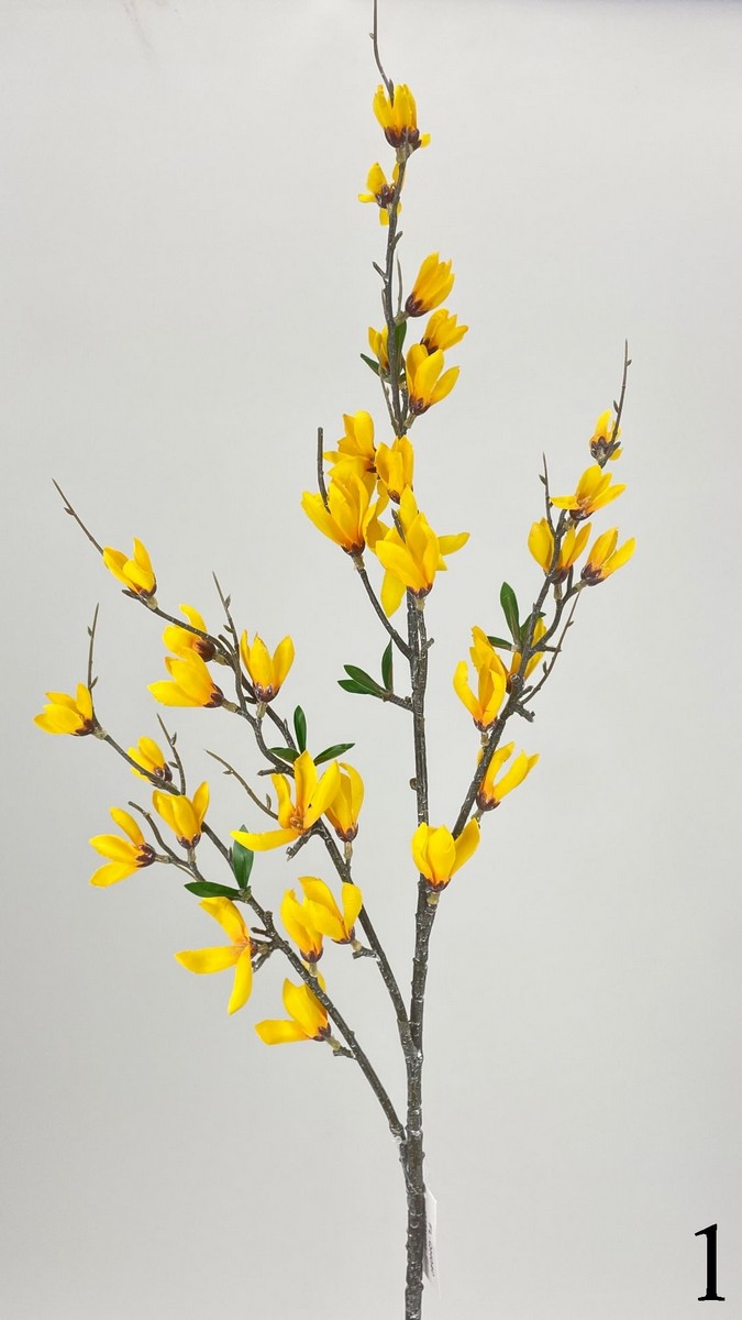 Форзиция FL-QH040  Интернет-магазин Feron Flower 