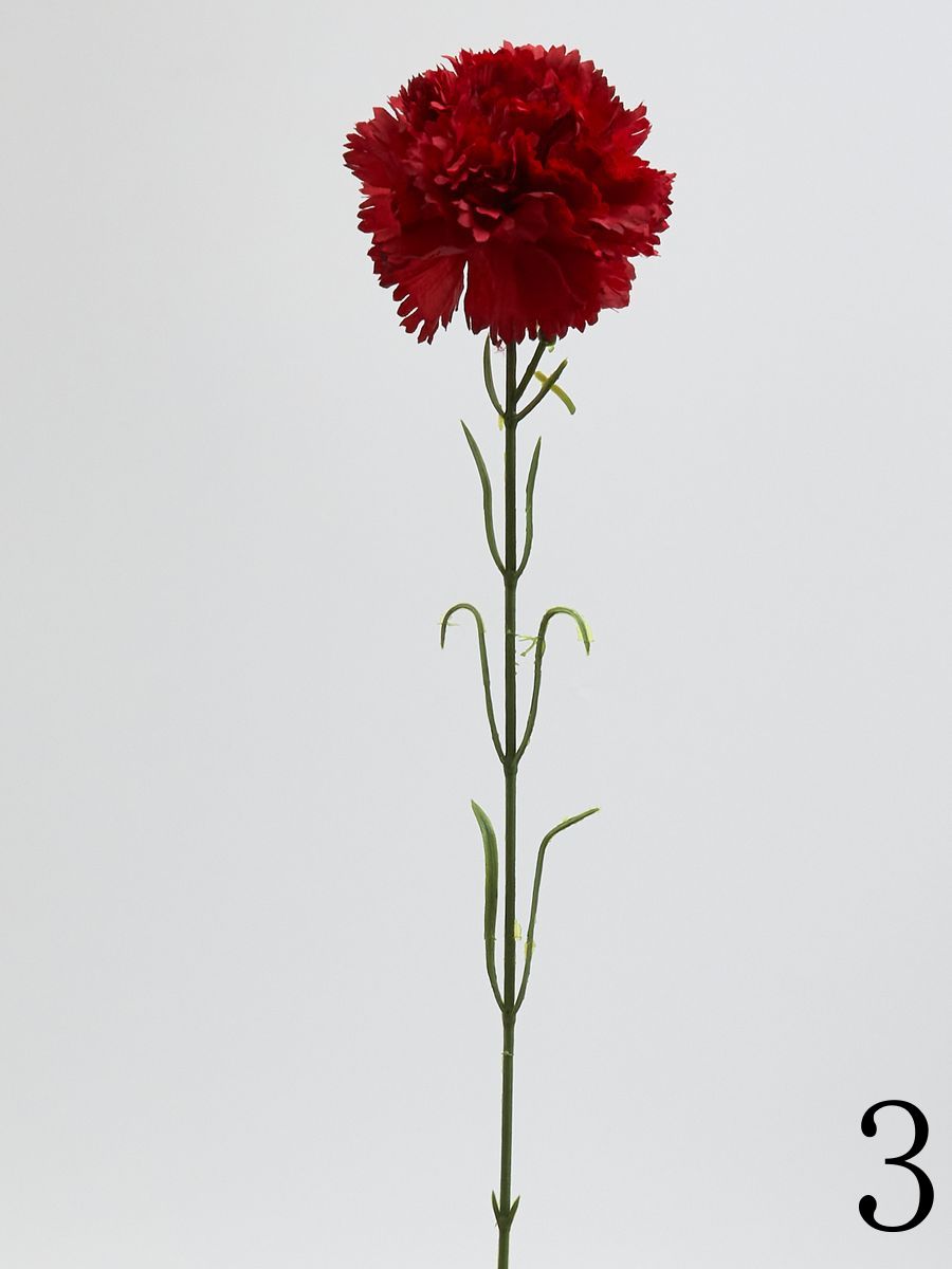 Гвоздика K396  Интернет-магазин Feron Flower 