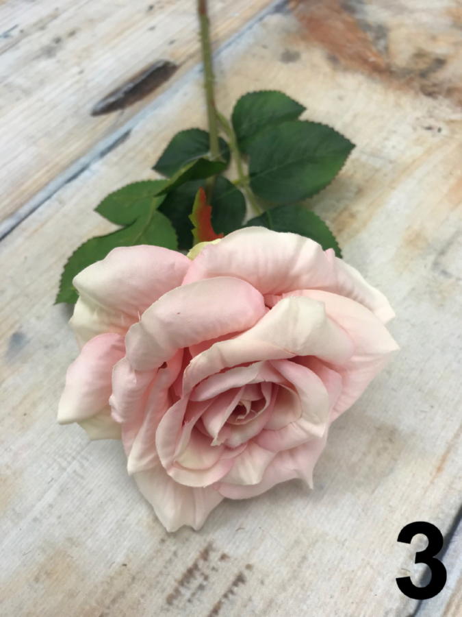 Роза GK211  Интернет-магазин Feron Flower 