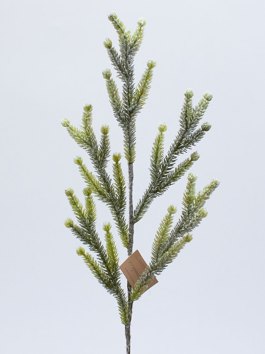 Ветка DB02  Интернет-магазин Feron Flower 