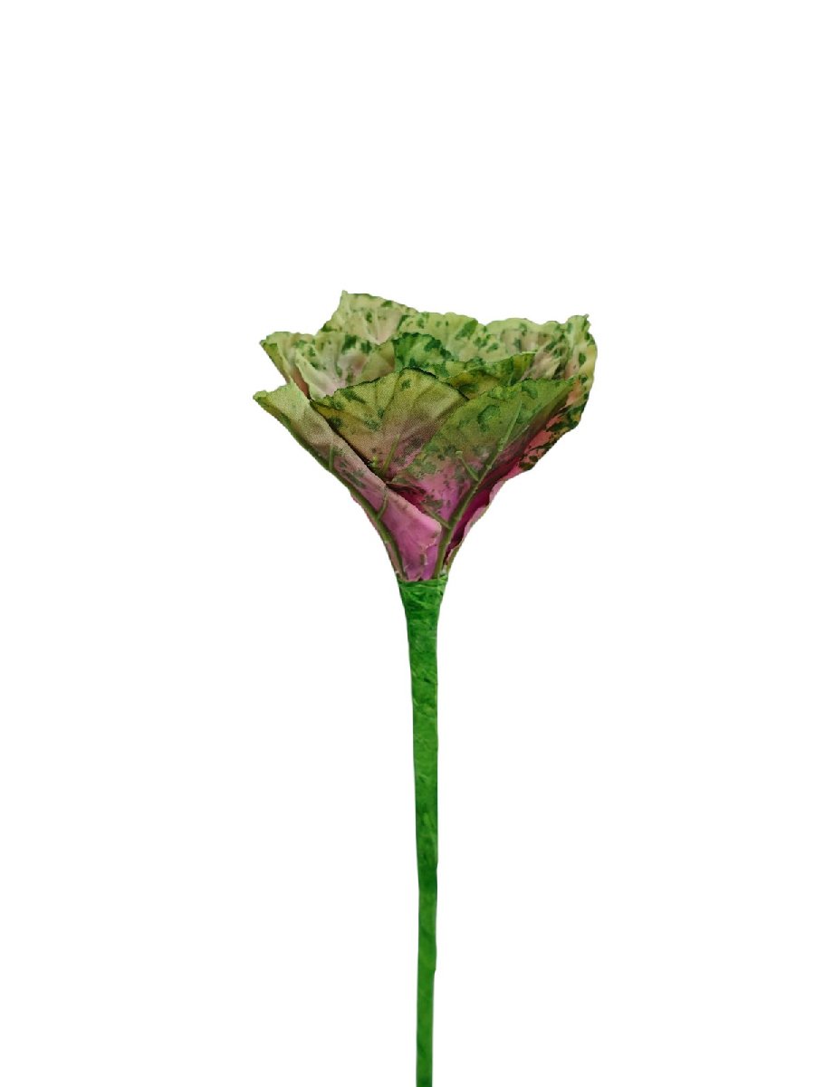 Капуста R800  Интернет-магазин Feron Flower 