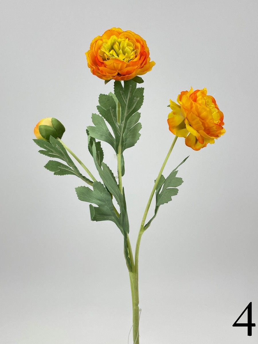 Рунункулус FL-QH095  Интернет-магазин Feron Flower 