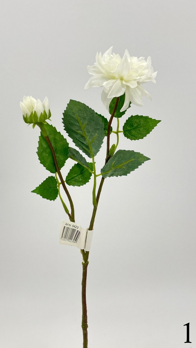 Далия 542345  Интернет-магазин Feron Flower 