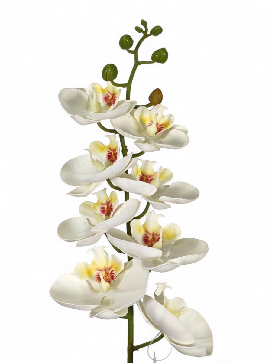 Орхидея FL-QH115  Интернет-магазин Feron Flower 