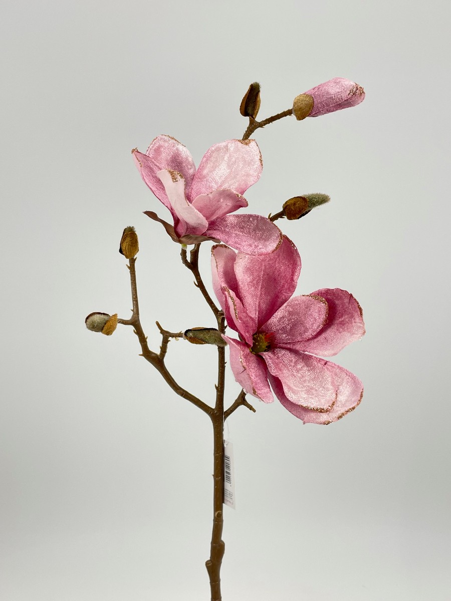 Магнолия 214CAN1293  Интернет-магазин Feron Flower 