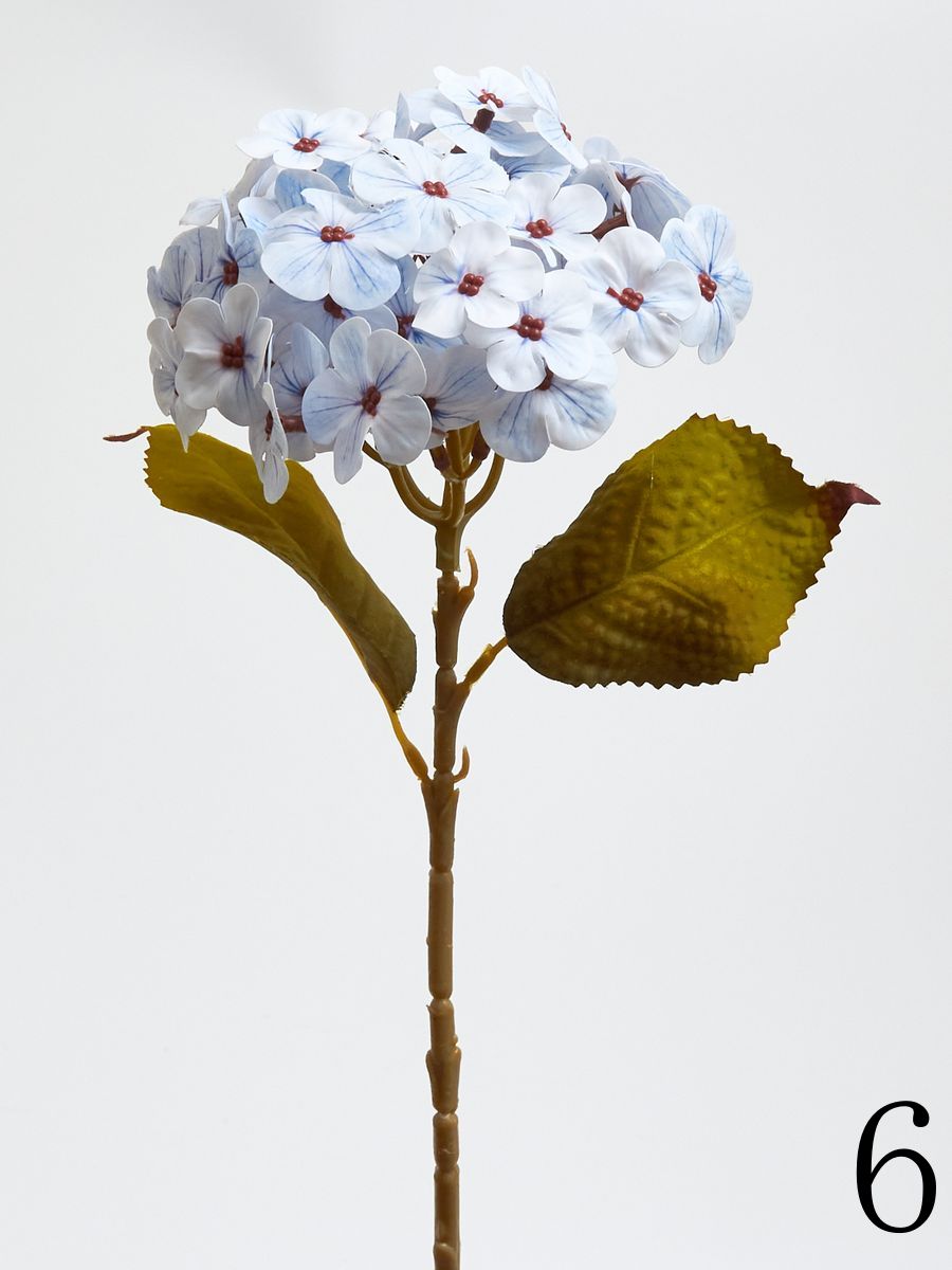 Гортензия K04234  Интернет-магазин Feron Flower 