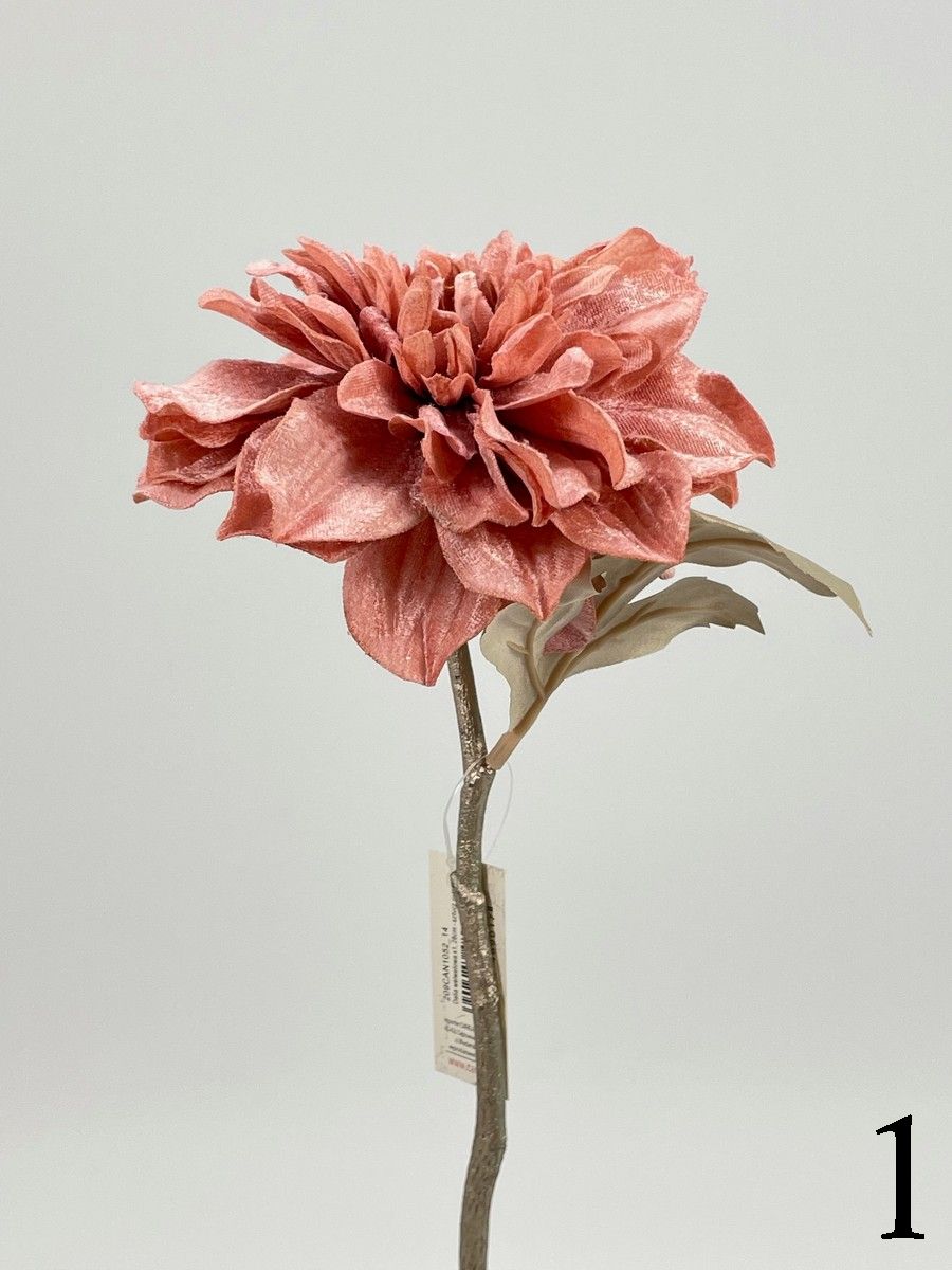 Далия 209CAN1052  Интернет-магазин Feron Flower 