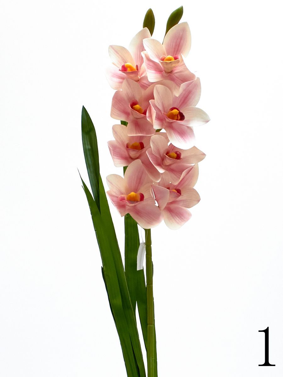 Орхидея K03977  Интернет-магазин Feron Flower 