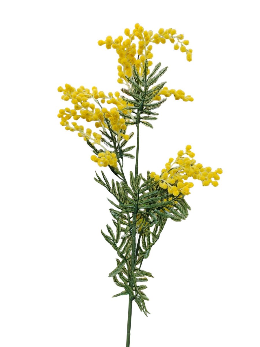 Мимоза FL-QH009  Интернет-магазин Feron Flower 