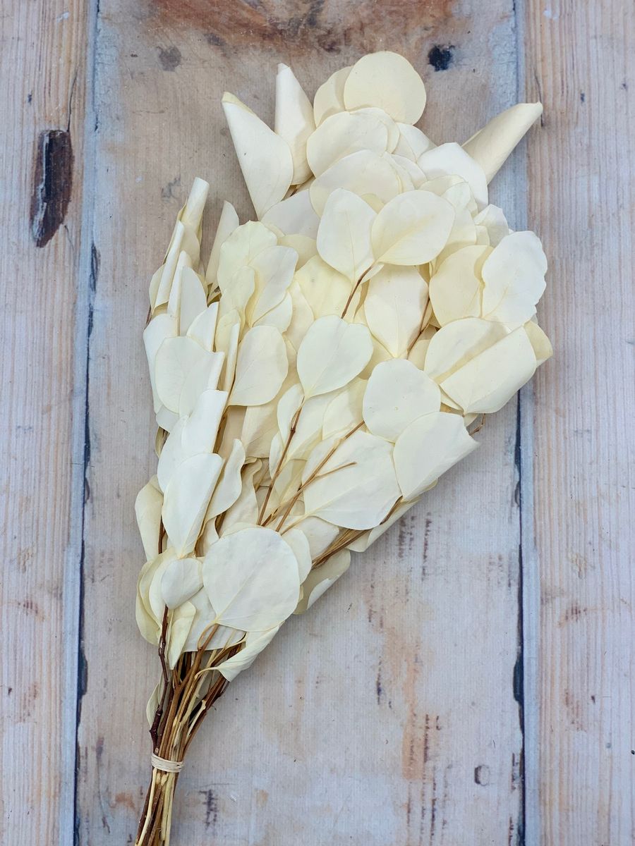 Сухоцвет SUSZ04007  Интернет-магазин Feron Flower 