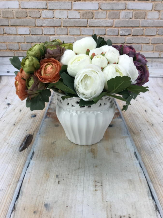 Ранункул 81CAN1-2068  Интернет-магазин Feron Flower 