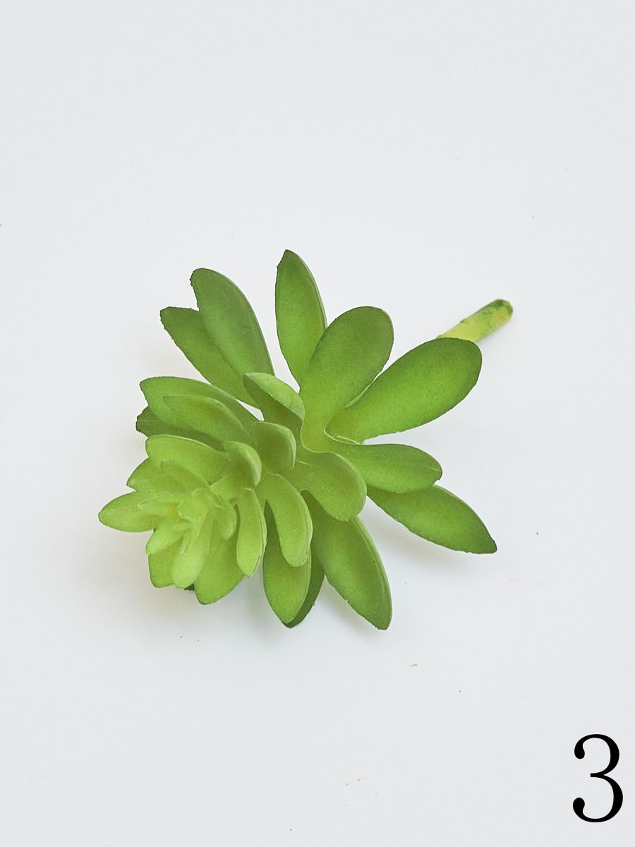 Суккулент 22KW730  Интернет-магазин Feron Flower 