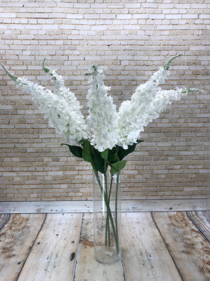 Дельфиниум K03880  Интернет-магазин Feron Flower 