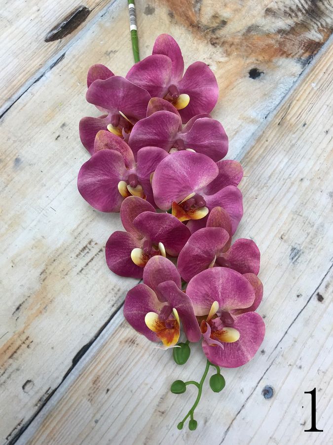 Орхидея GK186  Интернет-магазин Feron Flower 