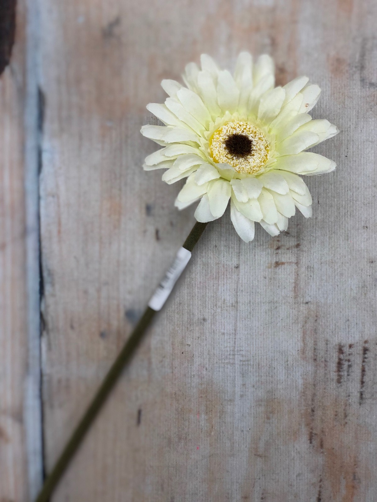 Гербера K120  Интернет-магазин Feron Flower 