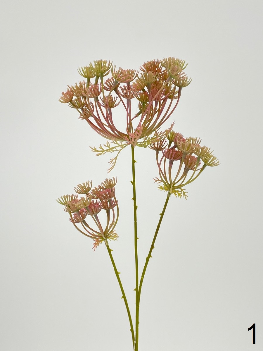 Укроп MR33-FY20  Интернет-магазин Feron Flower 