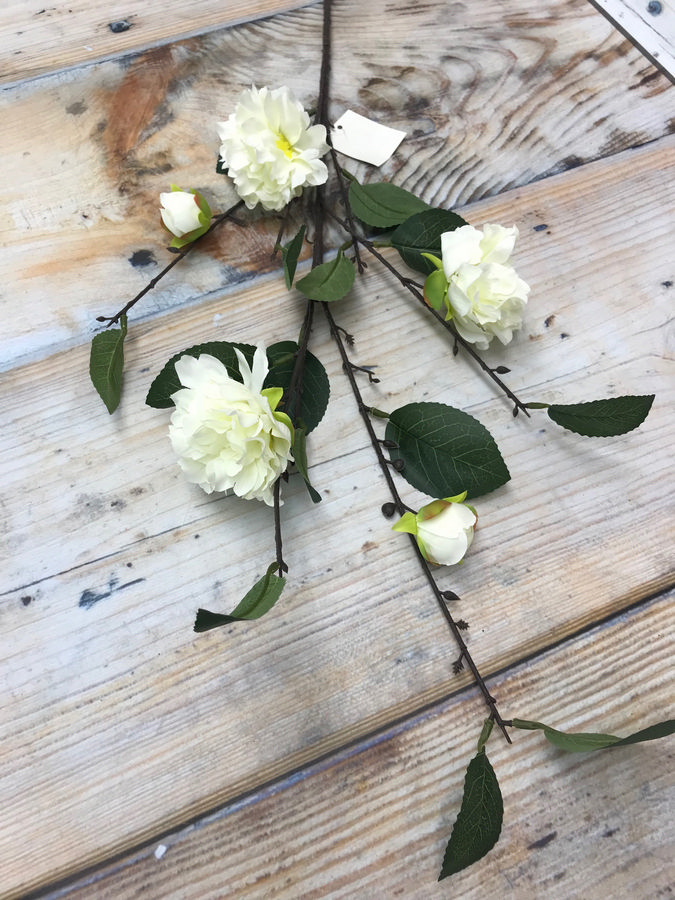 Пион K3679  Интернет-магазин Feron Flower 