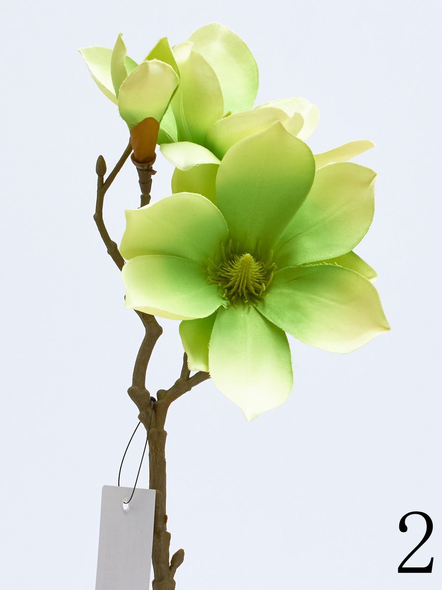Магнолия SUN488  Интернет-магазин Feron Flower 