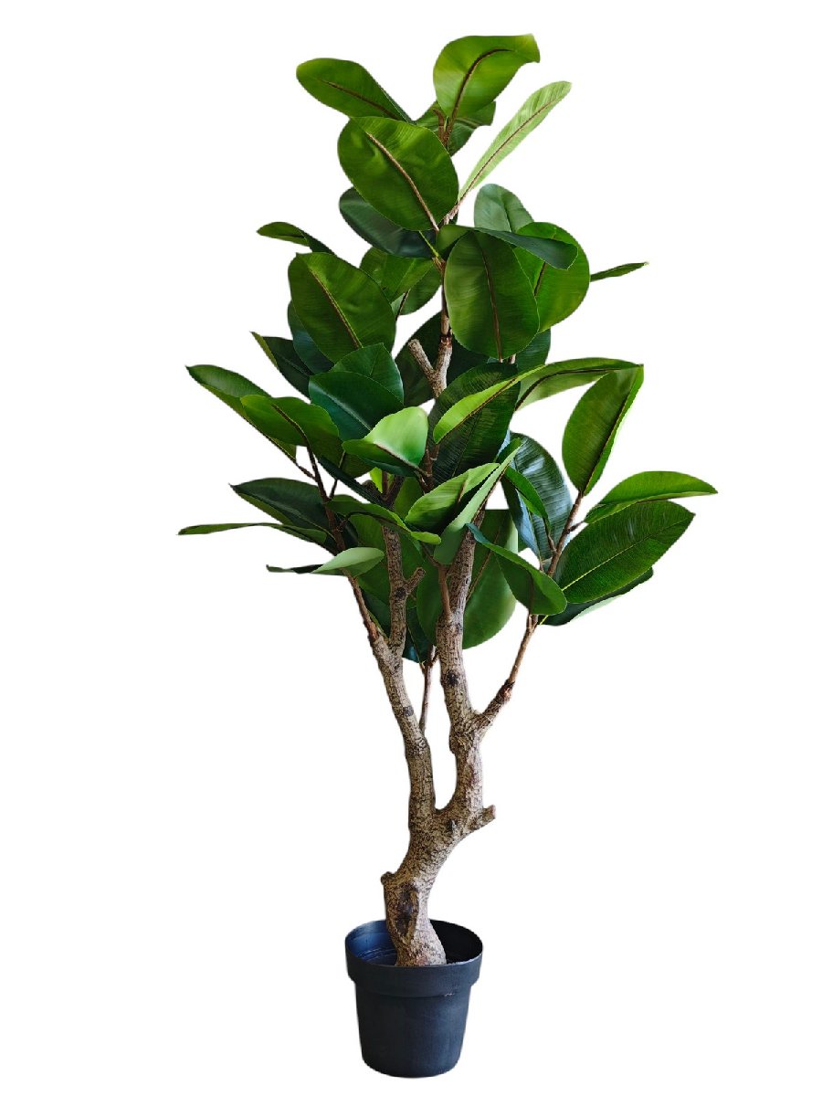 Фикус 9259-1334  Интернет-магазин Feron Flower 