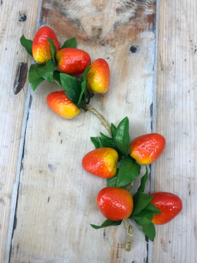 Клубника X-22  Интернет-магазин Feron Flower 