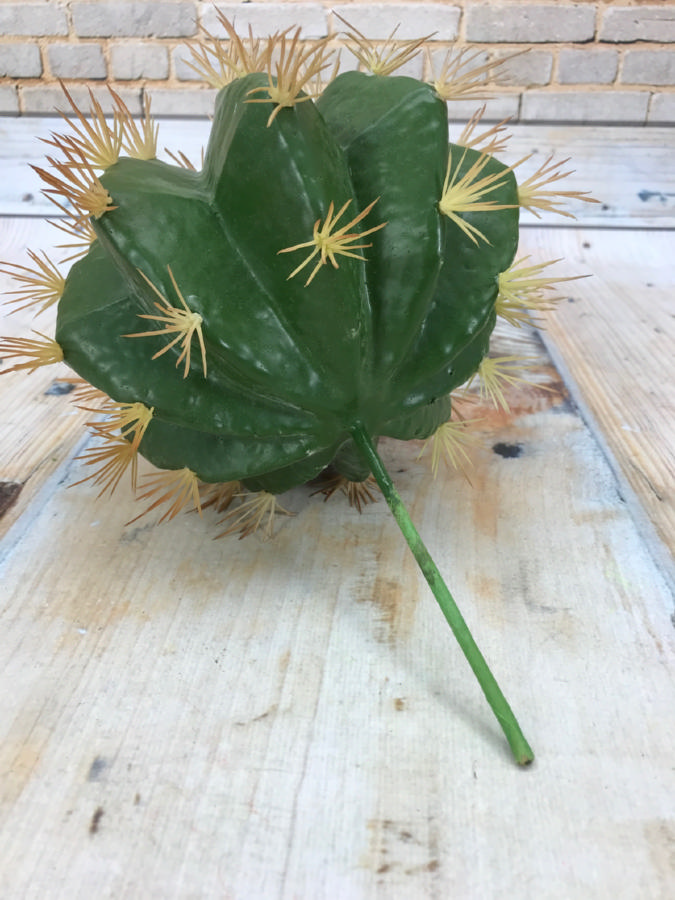 Кактус 193CAN70253  Интернет-магазин Feron Flower 