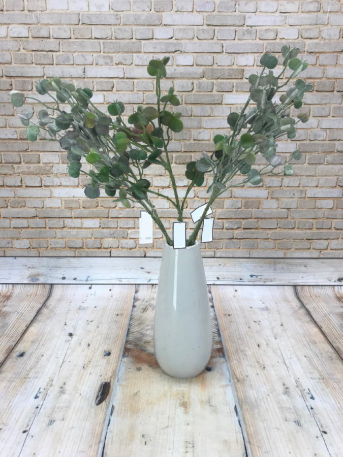 Эвкалипт 188CAN9335BS  Интернет-магазин Feron Flower 