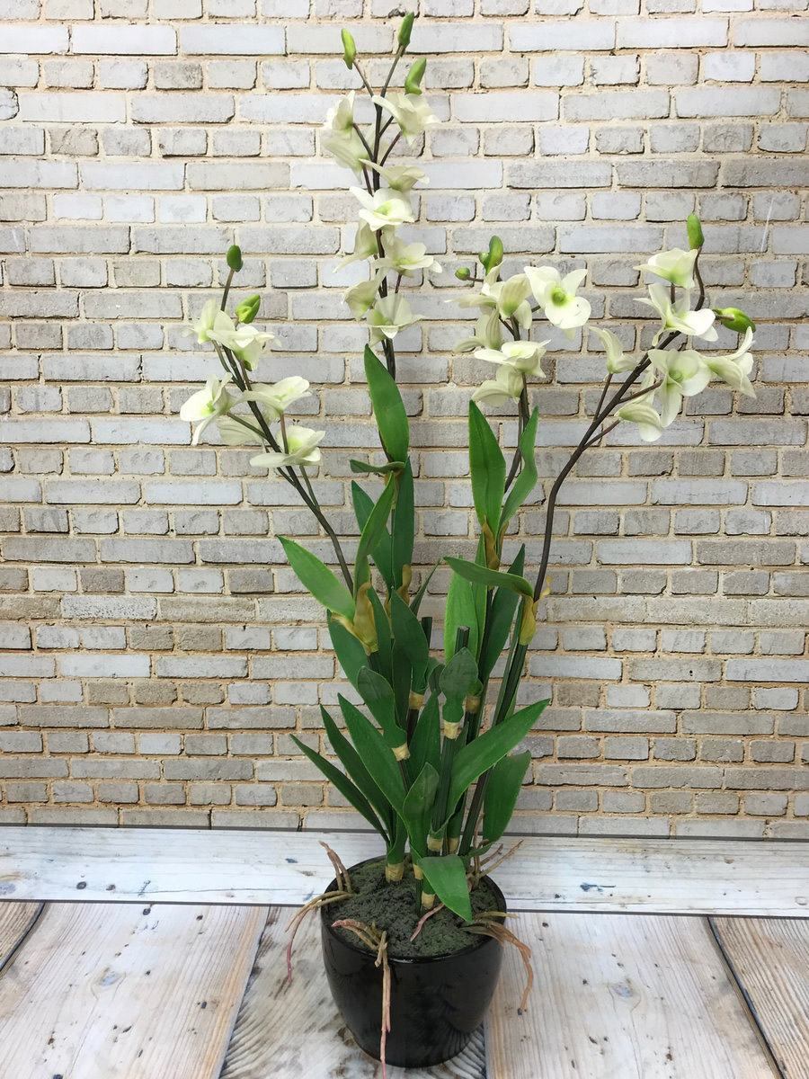 Орхидея в горшке 3544  Интернет-магазин Feron Flower 