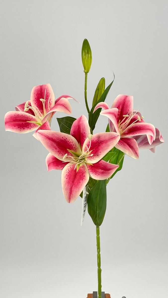 Лилия GK447  Интернет-магазин Feron Flower 