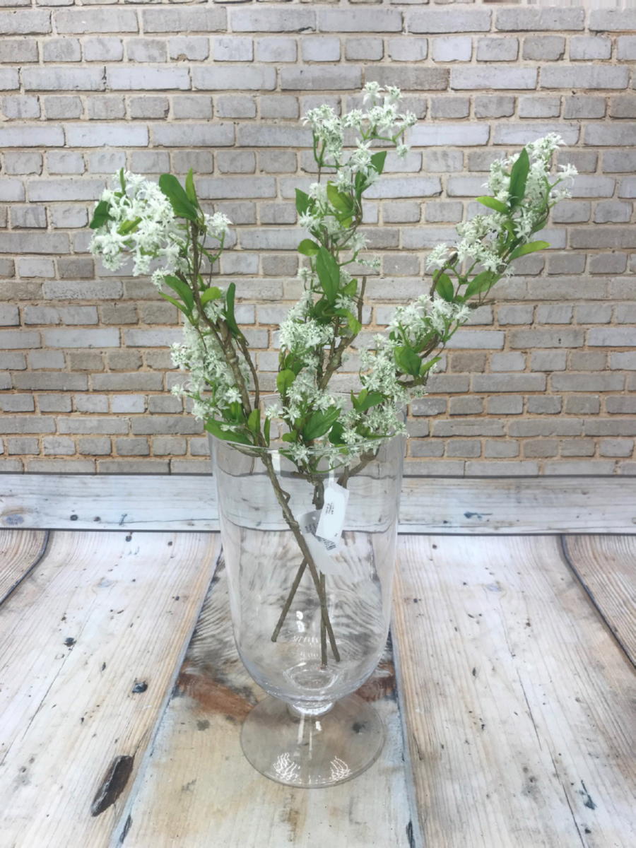 Букет зелени AA020  Интернет-магазин Feron Flower 