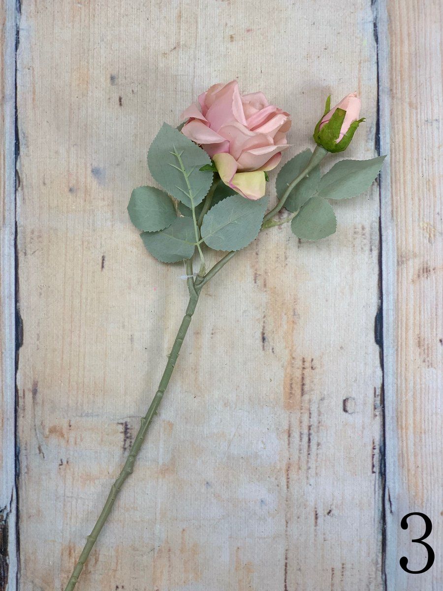 Роза 20KL767  Интернет-магазин Feron Flower 