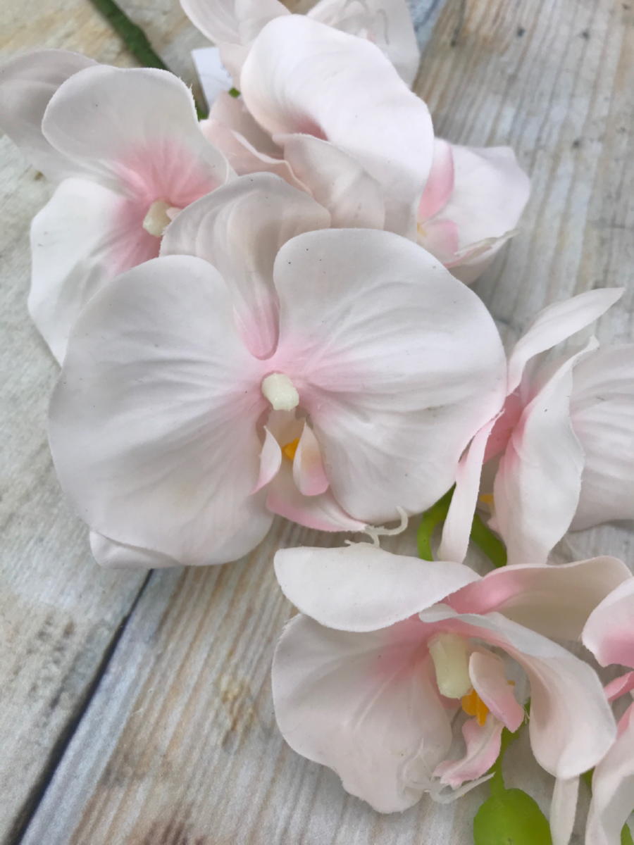 Орхидея латекс KLM1002  Интернет-магазин Feron Flower 