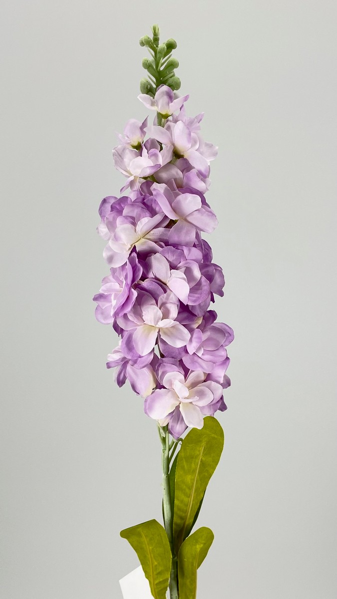Дельфиниум MR-27747PN  Интернет-магазин Feron Flower 