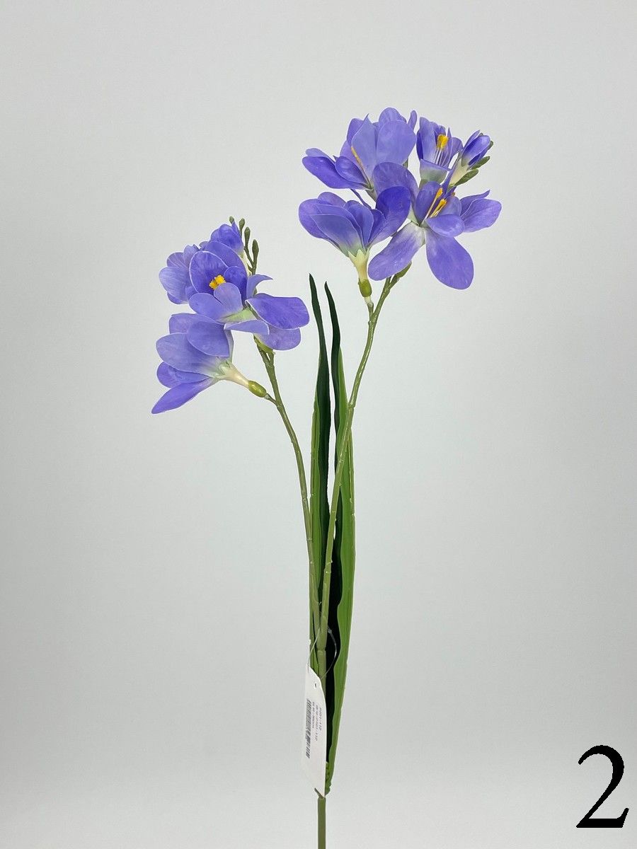 Фрезия PIO-112  Интернет-магазин Feron Flower 